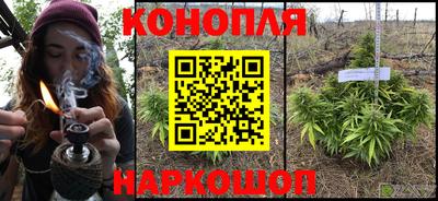 a pvp Кингисепп