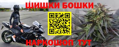 a pvp Кингисепп