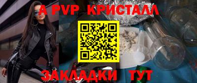 a pvp Кингисепп