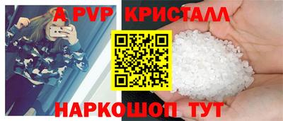a pvp Кингисепп